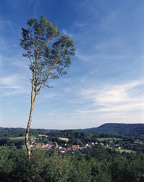 Belverne03