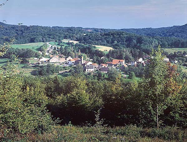 Belverne04