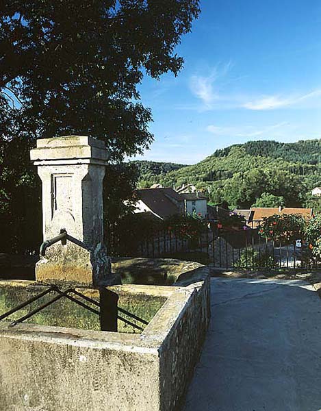 Belverne22