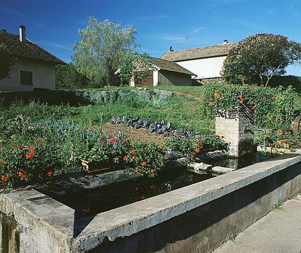 Belverne25