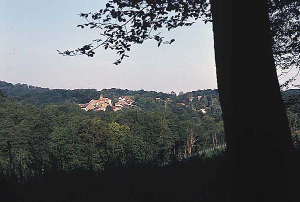 Belverne32