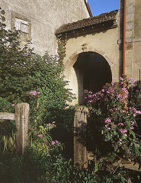 clairegoutte04