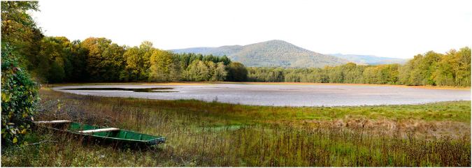 C033-Etang%20Neuf%20(Territoire%20de%20Belfort)