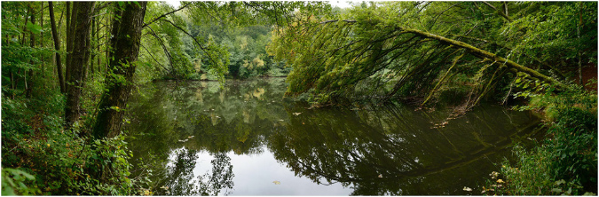 C039-Etang%20Auxelles%20Bas%20(Territoire%20de%20Belfort)