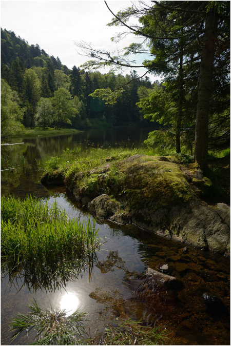 C046-Etang%20du%20Petit%20Haut%20(Territoire%20de%20Belfort)