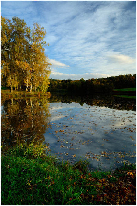 C050-Etang%20d'Amont%20(Territoire%20de%20Belfort)