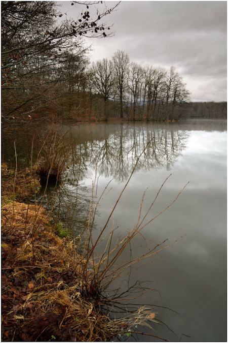 C054-Etang%20Neuf%20(Territoire%20de%20Belfort)