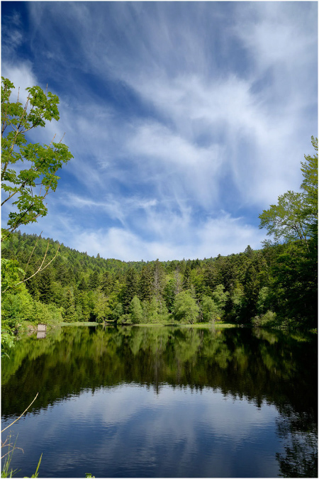 C056-Etang%20du%20Petit%20Haut%20(Territoire%20de%20Belfort)